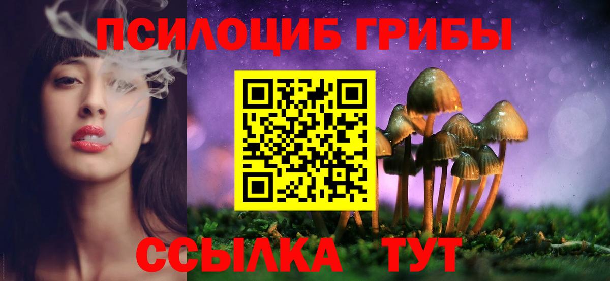 Нововоронеж  Псилоцибиновые грибы мухоморы  Вход с VPN 